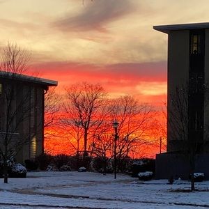 Meet your Posher, Alison